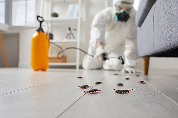 Commercial Kitchen Cockroach Control in Mangum